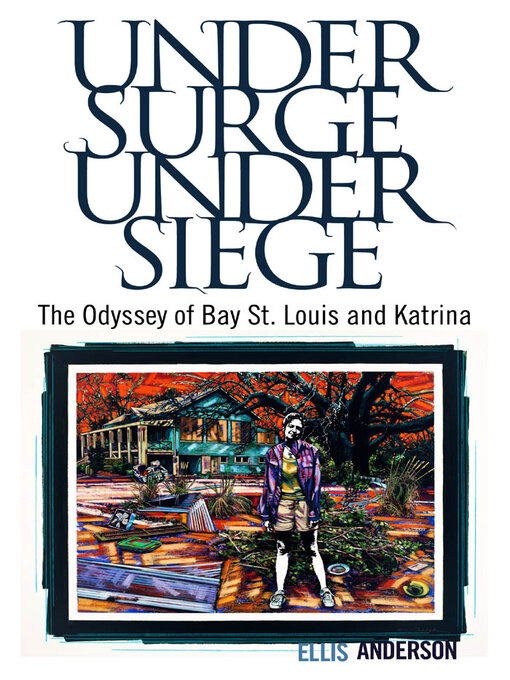 Cover image for Under Surge, Under Siege